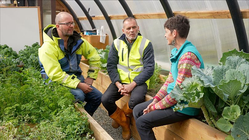 Inside a 'polycrub' by Shetland's Northmavine Community Development Company