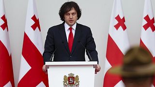 Georgian Prime Minister Irakli Kobakhidze has suspended EU talks until 2028.