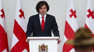 Georgian Prime Minister Irakli Kobakhidze has suspended EU talks until 2028. Georgian Prime Minister Irakli Kobakhidze has suspended EU talks until 2028.