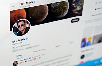 Elon Musk's twitter page