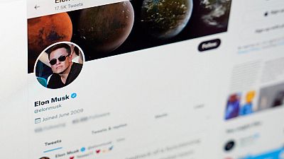 Elon Musk's twitter page