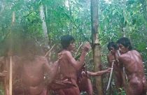 Images of the natives were recorded by pre-positioned automatic cameras