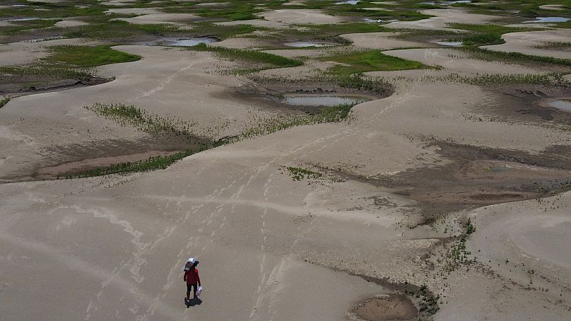 A resident of a riverside community carries food and containers of drinking water after being distributed due to the drought in Careiro da Varzea, Amazonas state, Brazil