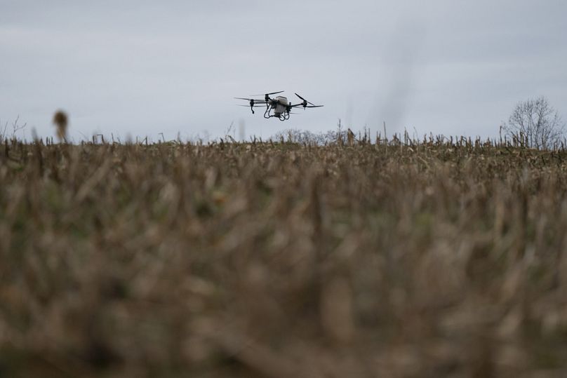 طائرة مسيرة من طراز DJI التابعة لراسل هيدريك تنشر غطاء المحاصيل في مزرعته.