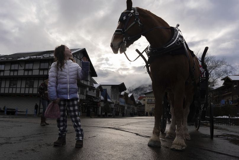 Anna Jarski, 8, of Seattle, waves to Olav the Belgian draft horse