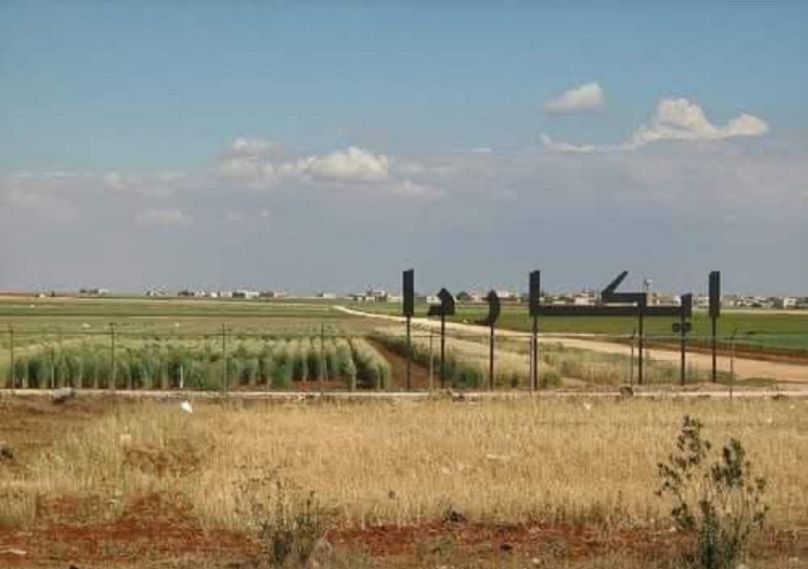 Az ICARDA aleppói ültetvénye napjainkban