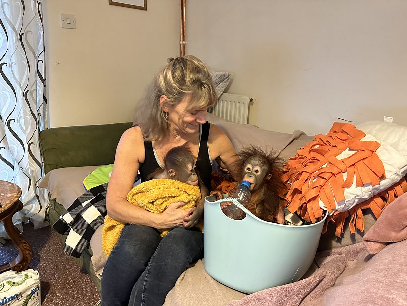 Kiwi and Sibu socialising together
