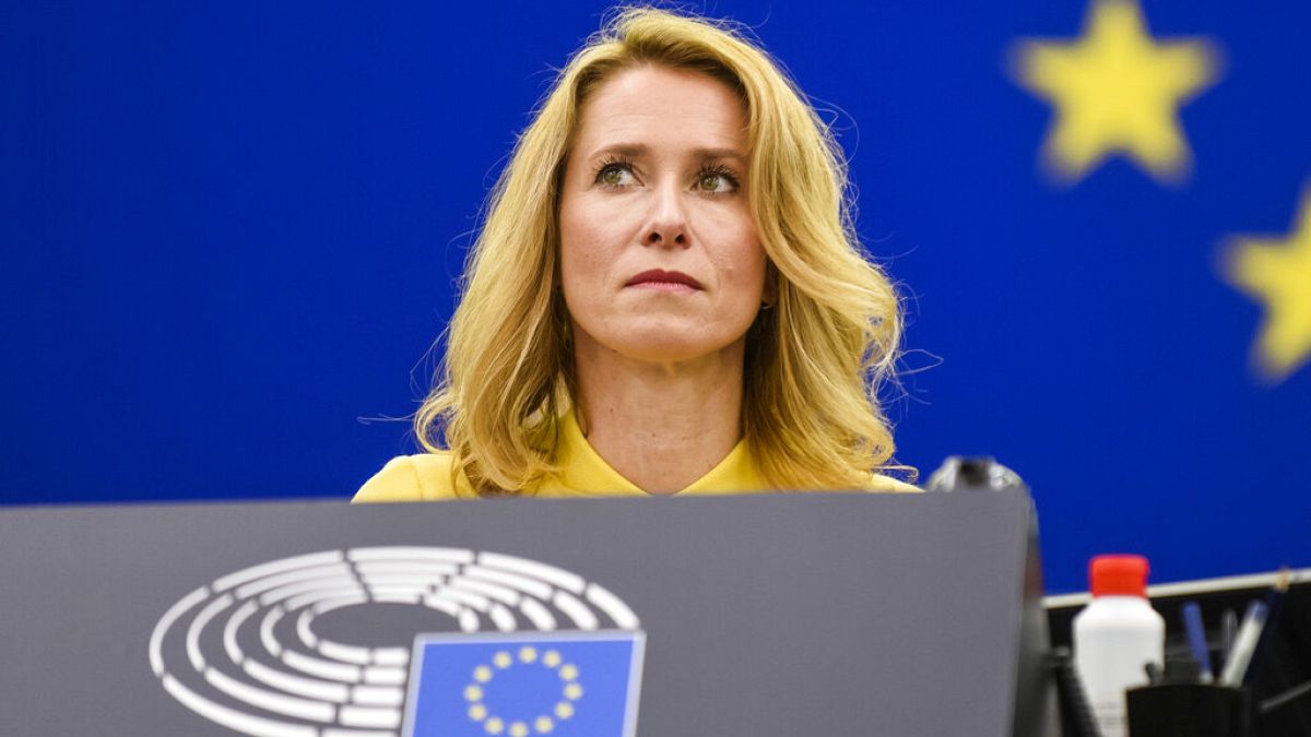 Πυρ ομαδόν» Ελλήνων ευρωβουλευτών προς την Κάγια Κάλας για πιθανό μνημόνιο  Τουρκίας-Συρίας | Euronews