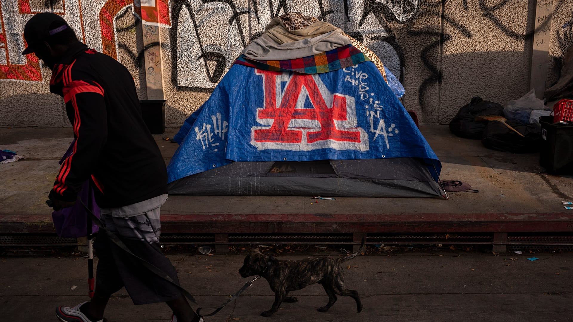 Homelessness in the US reaches record high as housing costs bite | Euronews