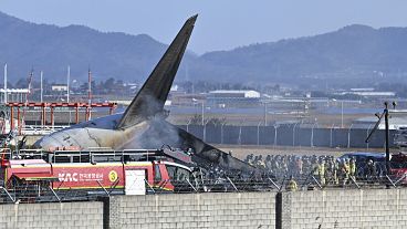 Firefighters work to extinguish a fire off the runway of Muan International Airport in South Korea, 29 December, 2024