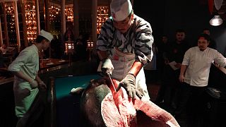 Qatar 365 goes on tantalising journey to explore Doha’s culinary scene