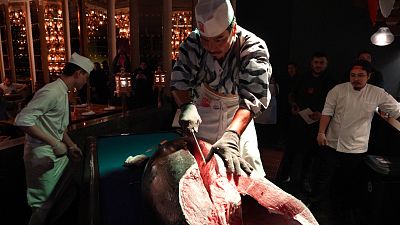 Qatar 365 goes on tantalising journey to explore Doha’s culinary scene
