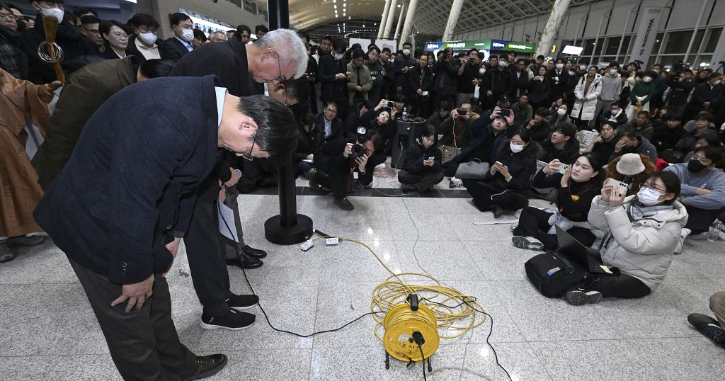 179 dead in South Korea plane crash; officials suggest bird strike to blame for the incident