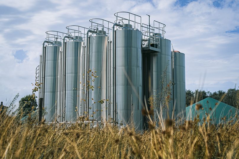 Eight 30,000 litre bioreactors at MiAlgae's site in Scotland