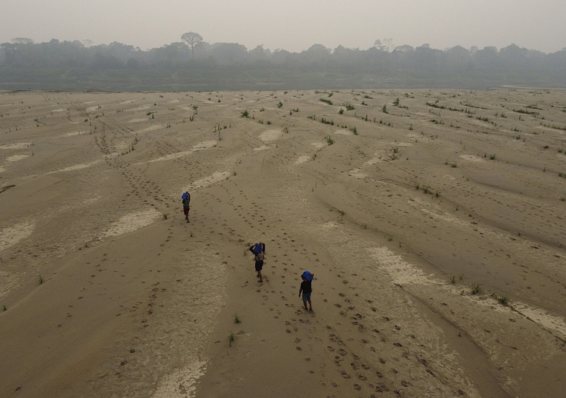 Amazon wildfires and droughts are ‘ominous