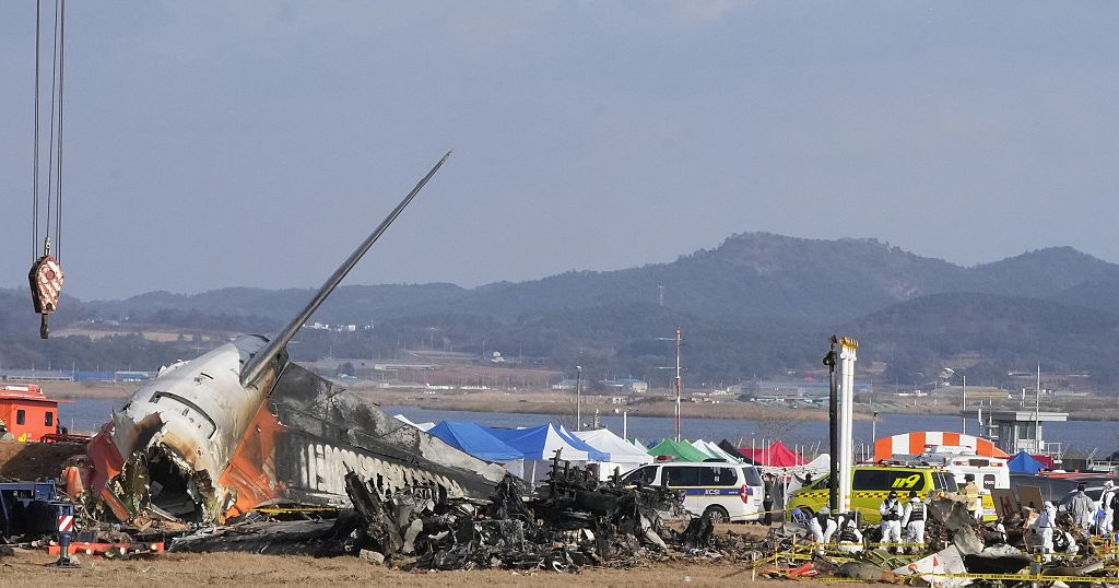 Aviation experts argue poor runway design to blame for South Korea crash