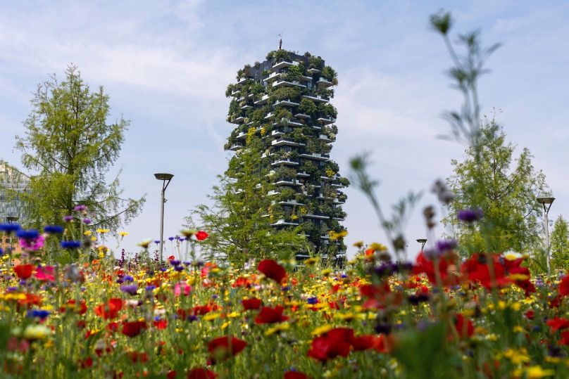 A milánói Bosco Vericale, 2023 májusában