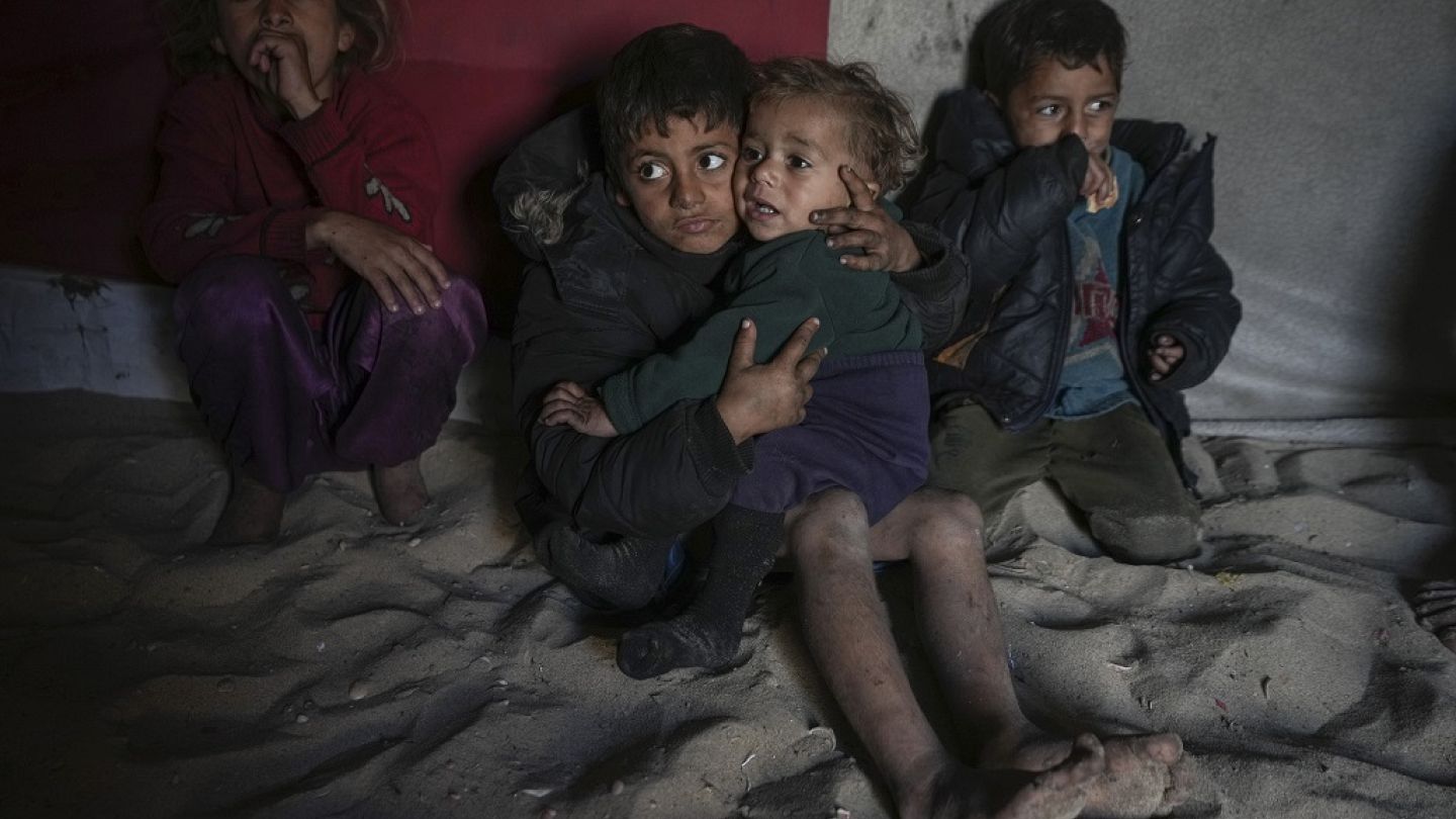 La bande de Gaza a perdu 6% de sa population depuis octobre 2023 | Euronews