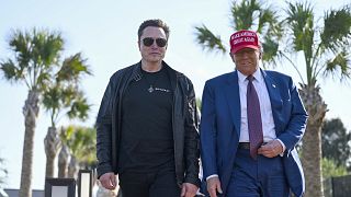 A profitable friendship: Elon Musk with President-elect Donald Trump