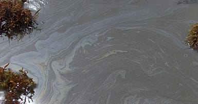 An ecological disaster': Russia deals with aftermath of massive ...