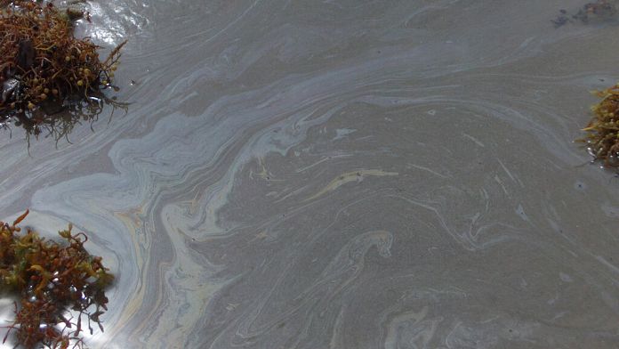 An ecological disaster: Russia deals with aftermath of massive fuel oil spill