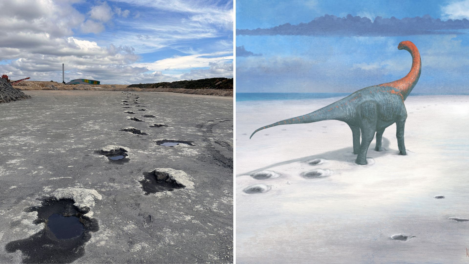 166-million-year-old dinosaur footprints unearthed in astonishing ...