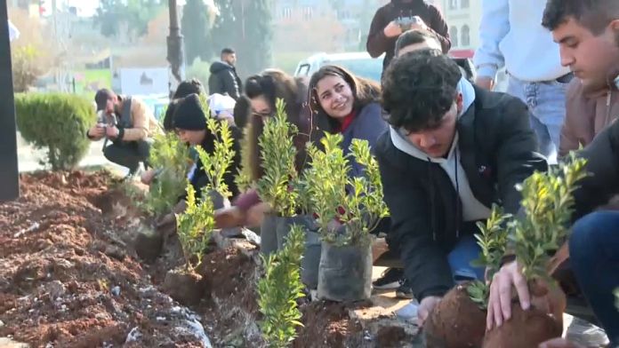 Volunteers plant trees as Syria’s battered Aleppo returns to life