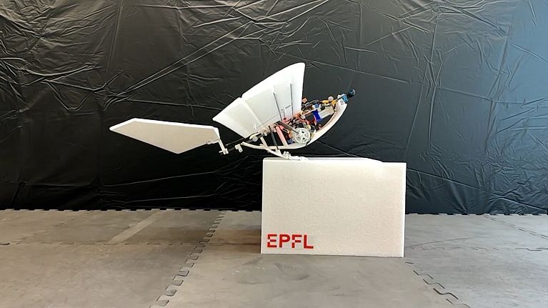 Researchers in Switzerland have developed a bird-like robot that can walk, jump, and hop to fly. Researchers in Switzerland have developed a bird-like robot that can walk, jump, and hop to fly.