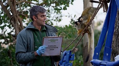 A keeper counts the animals at London Zoo in the United Kingdom, 03.01.2025