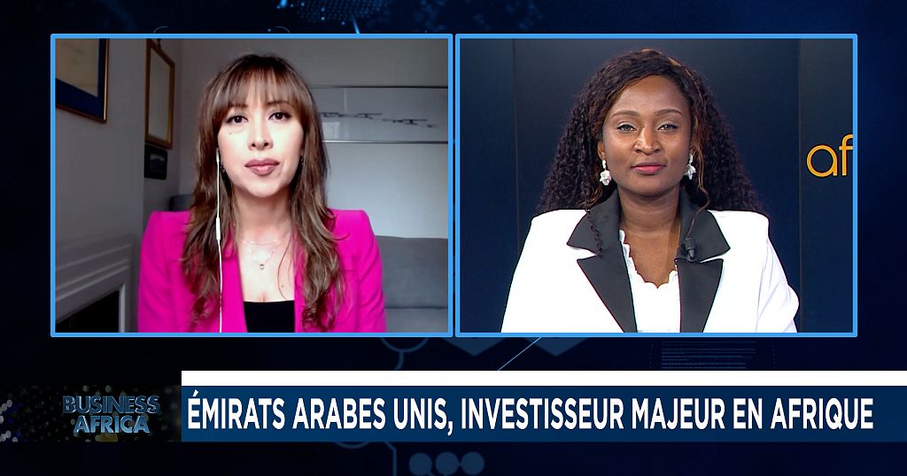 Les Émirats arabes unis en investisseurs majeurs en Afrique [Business Africa]