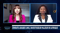 Les Émirats arabes unis en investisseurs majeurs en Afrique [Business Africa]