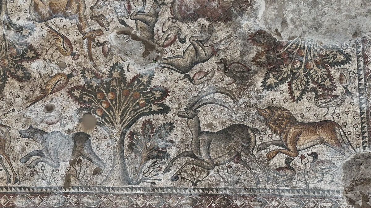 Turkish farmer uncovers rare ancient hunt mosaic – likely the largest of its kind in Türkiye