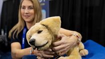 Jennie, a robotic dog for people who can not have a real pet, gets a scratch during 2025 CES Unveiled, Sunday, Jan. 5, 2025, in Las Vegas.