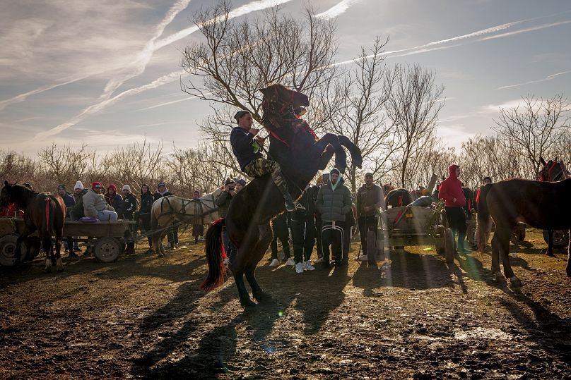 Un hombre muestra sus habilidades como jinete tras una carrera tradicional durante las celebraciones de la Epifanía en el pueblo de Pietrosani, Rumanía, el lunes 6 de enero.