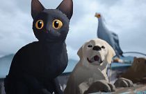 'Flow' won in the Best Motion Picture – Animated category at the Golden Globes.