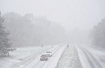 Cars drive along a snow-covered road in the forest of Fontainebleau, south of Paris, Thursday, Nov. 21, 2024
