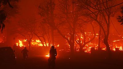 Amerykańscy strażacy walczą z pożarem w  pobliżu Los Angeles