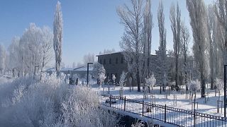 Nature in frost at Ardahan in eastern Turkey, 07.01.2025