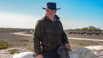 Watch: The European cowboys herding bulls in southern France