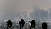 Los fuertes vientos soplan mientras el espeso humo de los incendios forestales envuelve el centro de Los Ángeles el miércoles 8 de enero de 2025. 