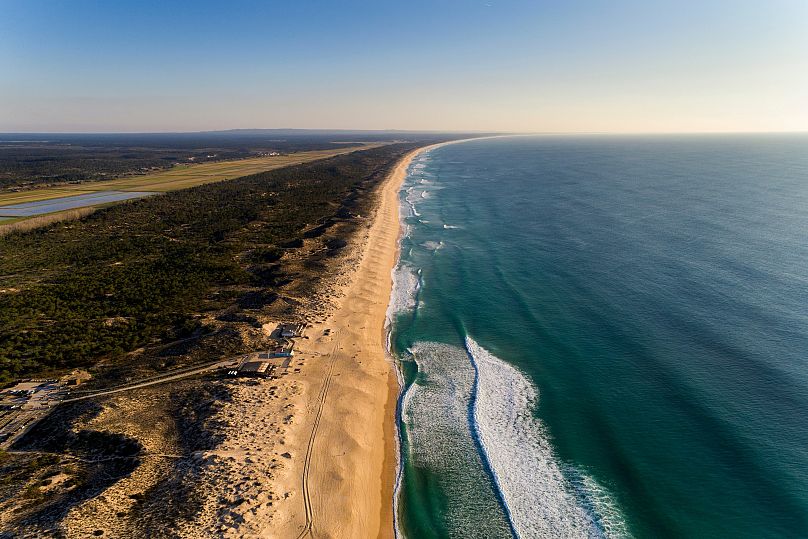 Bring a pair of binoculars and keep an eye out for the dolphins which are often spotted frolicking in the surf.