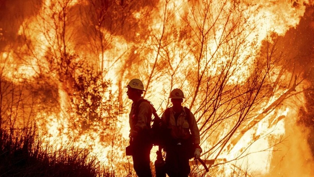 At least seven confirmed dead in California fires with officials expecting the death toll to rise