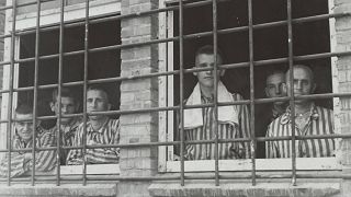 Sospetti collaborazionisti nazisti sono detenuti in un campo di prigionia a Vught, nei Paesi Bassi, nel giugno 1945.