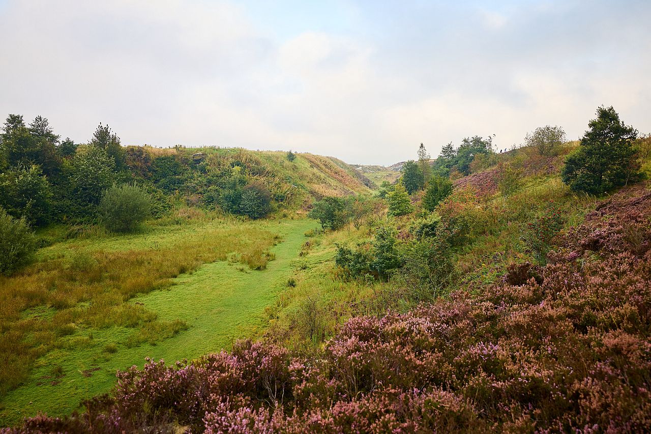 Wild Uplands