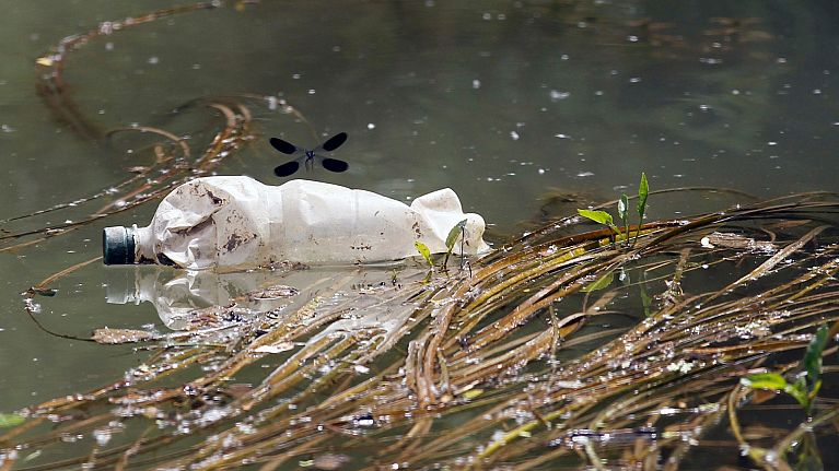 A dragonfly flies over a plastic bottle near the bank of Sava River in Obrenovac, some 25 kilometers (15 miles) west of the Serbian capital Belgrade. A dragonfly flies over a plastic bottle near the bank of Sava River in Obrenovac, some 25 kilometers (15 miles) west of the Serbian capital Belgrade.