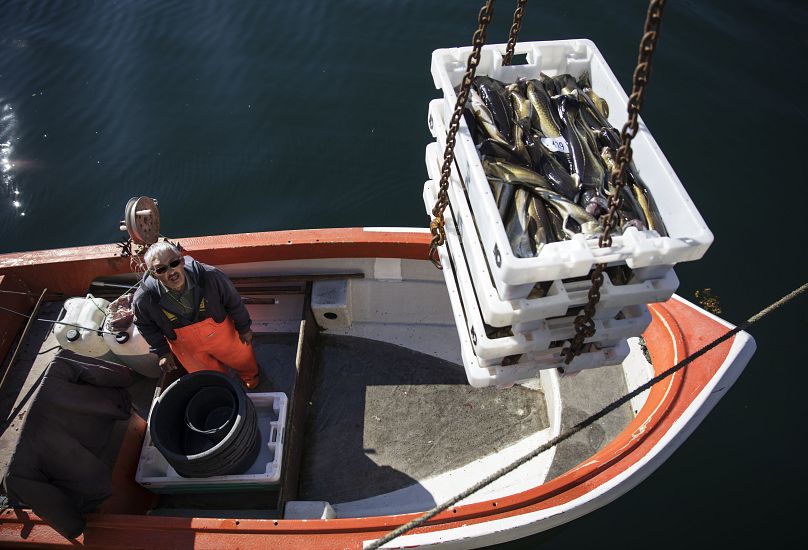 Johannes Heilmann, 69, watches as his catch of the day is raised off his boat after fishing for cod off the coast of Nuuk, Greenland, Wednesday, Aug. 2, 2017.  