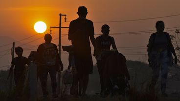 Migrants walk at sunrise along a highway in southern Mexico towards the US border, 8 January, 2024 Migrants walk at sunrise along a highway in southern Mexico towards the US border, 8 January, 2024