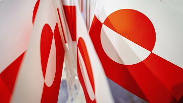 Flags of Greenland pictured during a coffee gathering hosted by Greenland's Prime Minister at the Greenlandic Representation in Copenhagen, 9 January, 2025 Flags of Greenland pictured during a coffee gathering hosted by Greenland's Prime Minister at the Greenlandic Representation in Copenhagen, 9 January, 2025