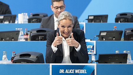 Alice Weidel