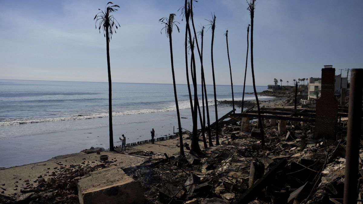 Beachfront properties are burned to the ground by the Palisades Fire on Friday, Jan. 10, 2025, in Malibu, Calif.